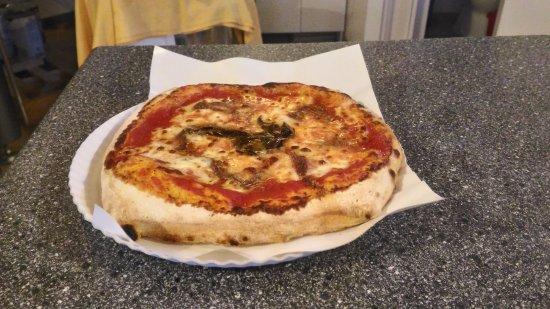 La Bottega del Gatto